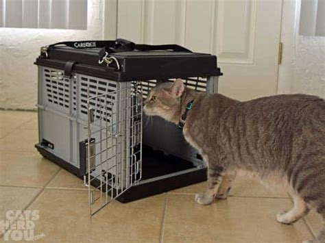 Collapsible Cat Carriers - Cats Herd You