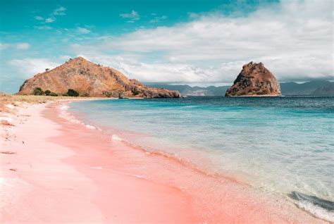 Lombok Island | Pink beach, Lombok, Beach