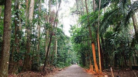 Tak Jauh Dari Pusat Kota, Ini 5 Tempat Wisata di Bogor Barat, Ada Kolam ...