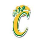 George Washington Carver Wolverines Athletics | Montgomery, AL - BVM Sports