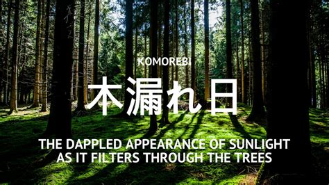 20 Japanese Words That Will Make You Think