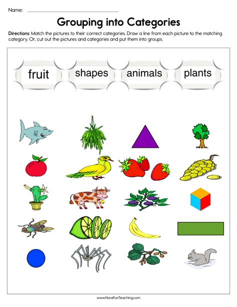 Grouping into Categories Worksheet by Teach Simple