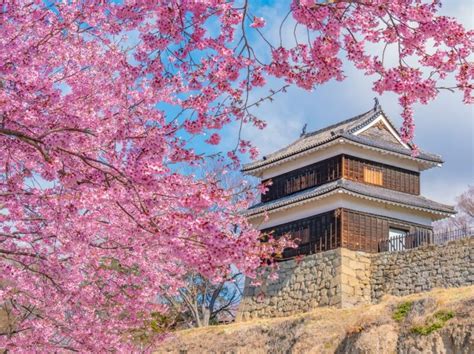 10 amazing things to do in Nagano, Japan! - fromJapan