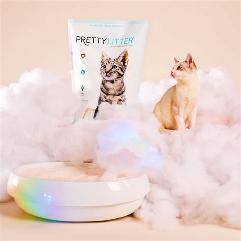 Health Monitoring Cat Litter Delivery Subscription | PrettyLitter