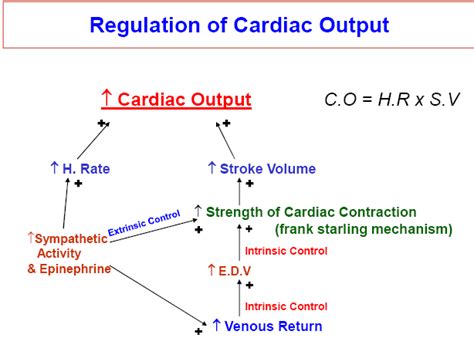 Cardiac Output – howMed