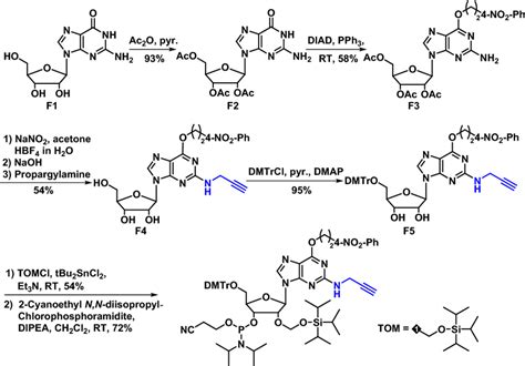 Synthesis of 2′-propargyl guanosine phosphoramidite | Download Scientific Diagram