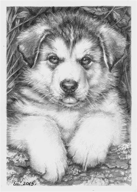 Husky puppy by Ninsianna on DeviantArt