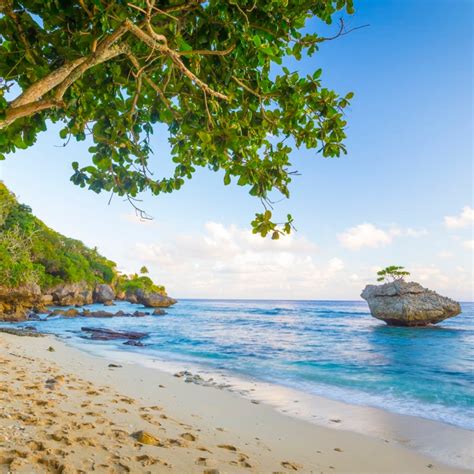 Flying Fish Cove | Christmas Island National Park