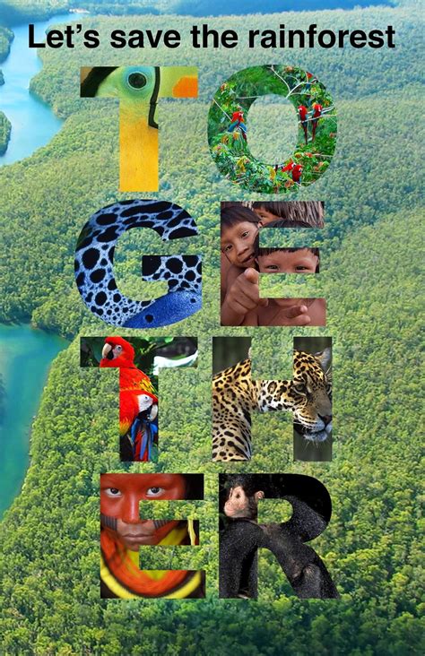 Save ~ together | Rainforest project, Save our earth, Save earth