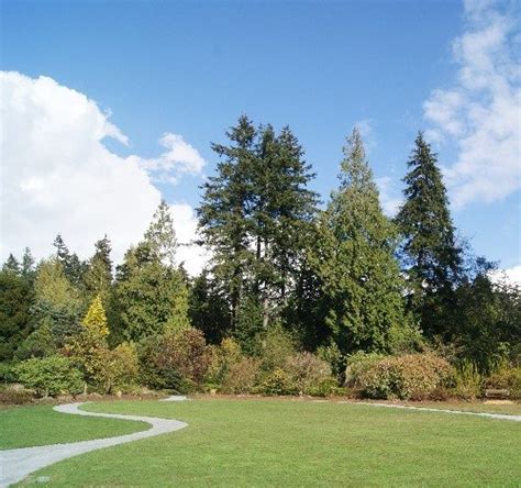 UBC Botanical Garden | Vancouver's Best Places