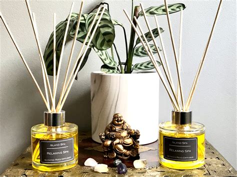 Luxury Highly Scented Reed Diffuser 100ml Reed Diffuser | Etsy