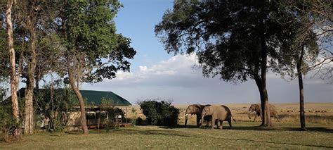 Governors’ Camp, Masai Mara, Kenya | Discover Africa Safaris