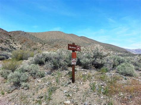 Wildrose Campground Death Valley National Park