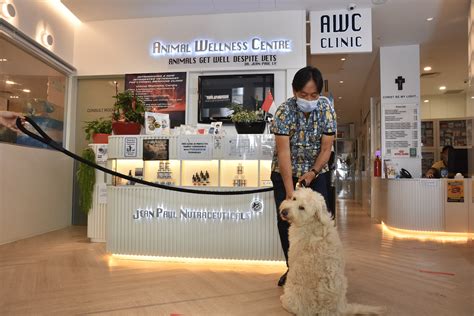 Pet Lovers Centre speeds up initiative to go digital, reshape retail | The Straits Times