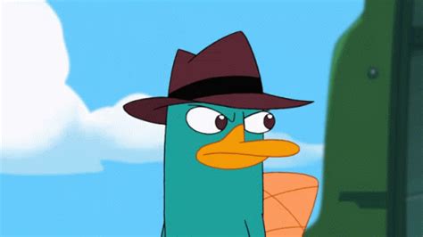 Perry The Platypus Phineas And Ferb GIF - Perry The Platypus Phineas And Ferb Sidetracked ...