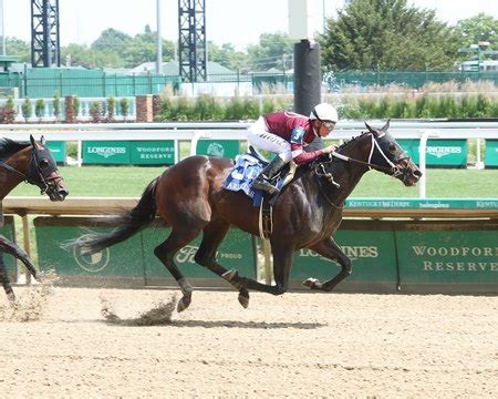 Gunite Pulls Away in Aristides; Webslinger Wins Audubon - BloodHorse