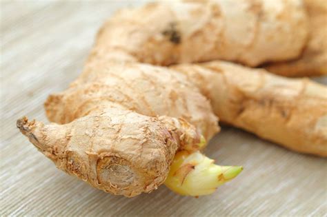 Can You Compost Ginger? A 2023 Guide - Journey to Conscious Living