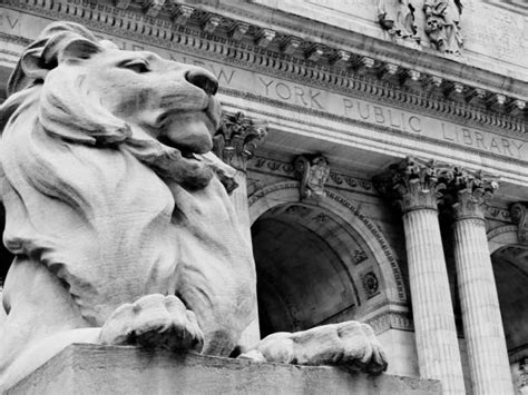 90+ Nyc Public Library Lions Stock Photos, Pictures & Royalty-Free ...