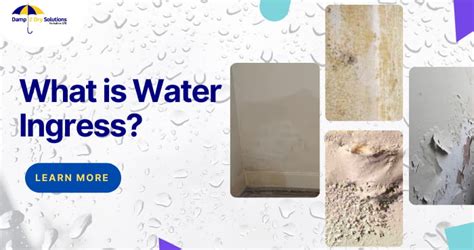 What is Water Ingress? Cause and Cure for Water Ingress