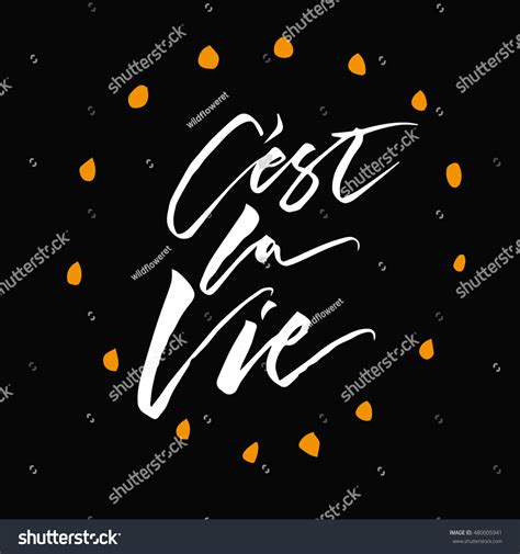 French Quote Cest La Vie Meaning Stock Vector (Royalty Free) 480005941 | Shutterstock