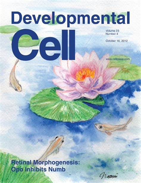 Issue: Developmental Cell