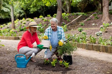 Outdoor Actvities For Seniors - Canyon Winds Retirement