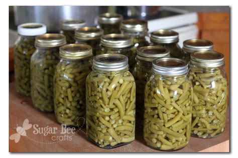 Canning Green Beans - Sugar Bee Crafts