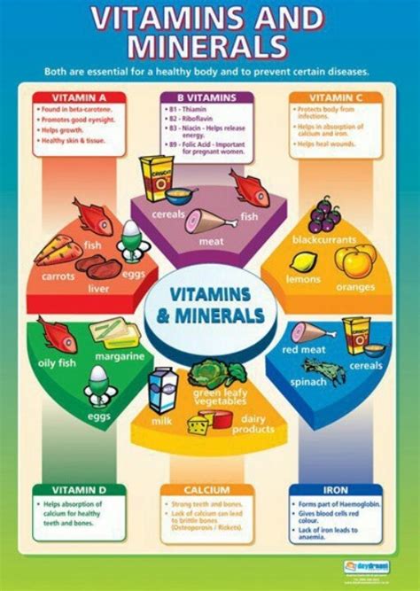 Nutrition in simple terms: Macro nutrients and Micro nutrients Functions