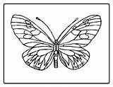 Free Printable Butterfly Coloring Pages For Kids sketch template