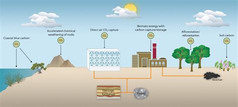 Biofuels are a controversial climate solution. Could they still help ...