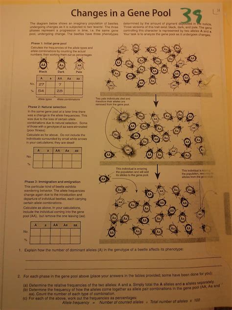 Mrs. Strong's AP Biology 2012-2013: 39 Changes in the Gene Pool