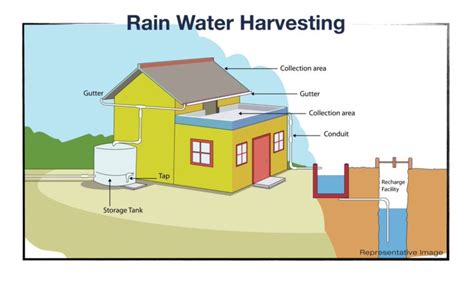 8 Important Rainwater Harvesting Components With Their Uses