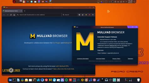 Mullvad Browser (VPN). Rewiew. - Latin Linux