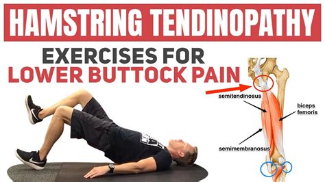 Hamstring Tendon Stretch