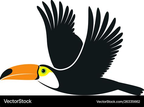 Flying toucan Royalty Free Vector Image - VectorStock