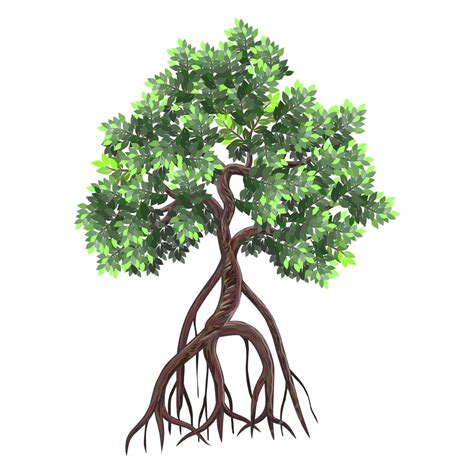 Mangrove Tree Vector Illustrations Hand Drawn Art Isolated On White ...