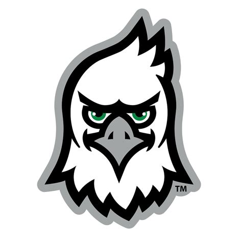 North Dakota Fighting Hawks - North Dakota Football Mascot Single Laye - College Wall Art