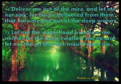 Red Pill Diaries: Psalm 69 (KJV)