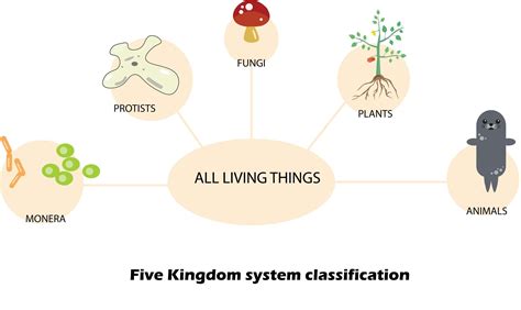 In which kingdom would you include archaea and nitrogen-fixing organisms in the five-kingdom ...