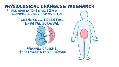 Physiologic changes - Pregnancy: Nursing - Osmosis Video Library