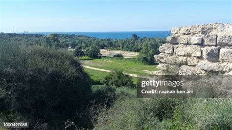 38 Ashkelon National Park Stock Photos, High-Res Pictures, and Images - Getty Images