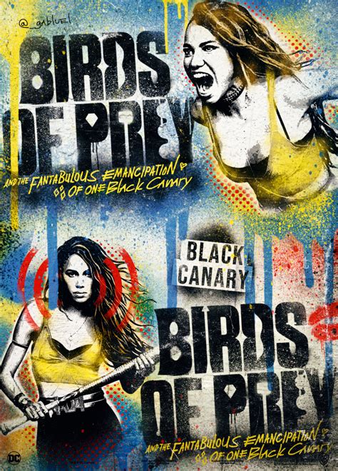 Posters: Birds of Prey on Behance