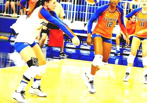 Florida Gators Women's Volleyball - University Of Florida Volleyball