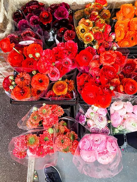 Tips on visiting the New York City Flower Market | Most Lovely Things