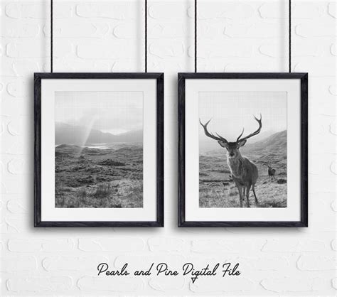 Stag Mountain Print, Black and White Photography, Black and White Deer ...