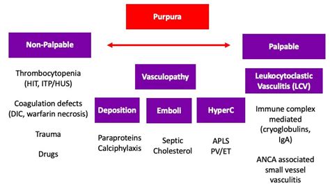 Reasons For Purpura