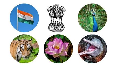 National Symbols of India- Updated List - YouTube