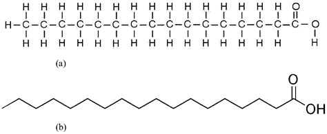 e1Biologie: Die faszinierenden Lipide