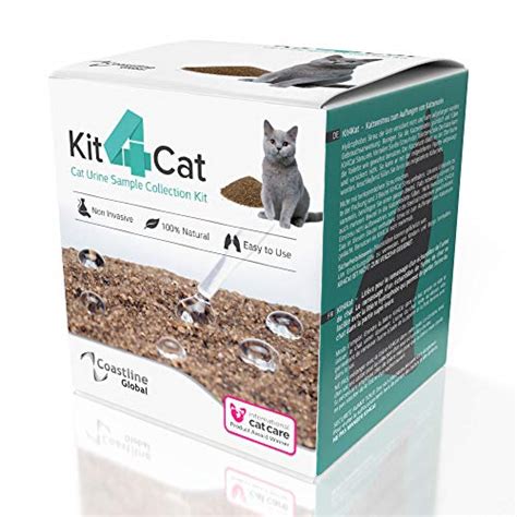 Best Cat Urine Collection Kit: Reviews By Wirecutter