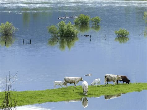 Worry and suspicion reign as once-dry Tulare Lake drowns California ...